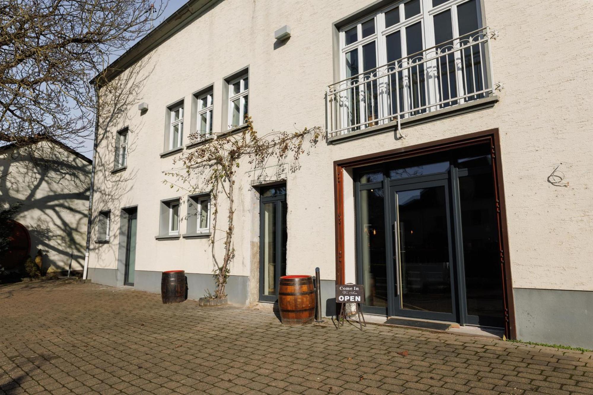 Appartements Im Weingut Frieden-Berg Nittel Bagian luar foto