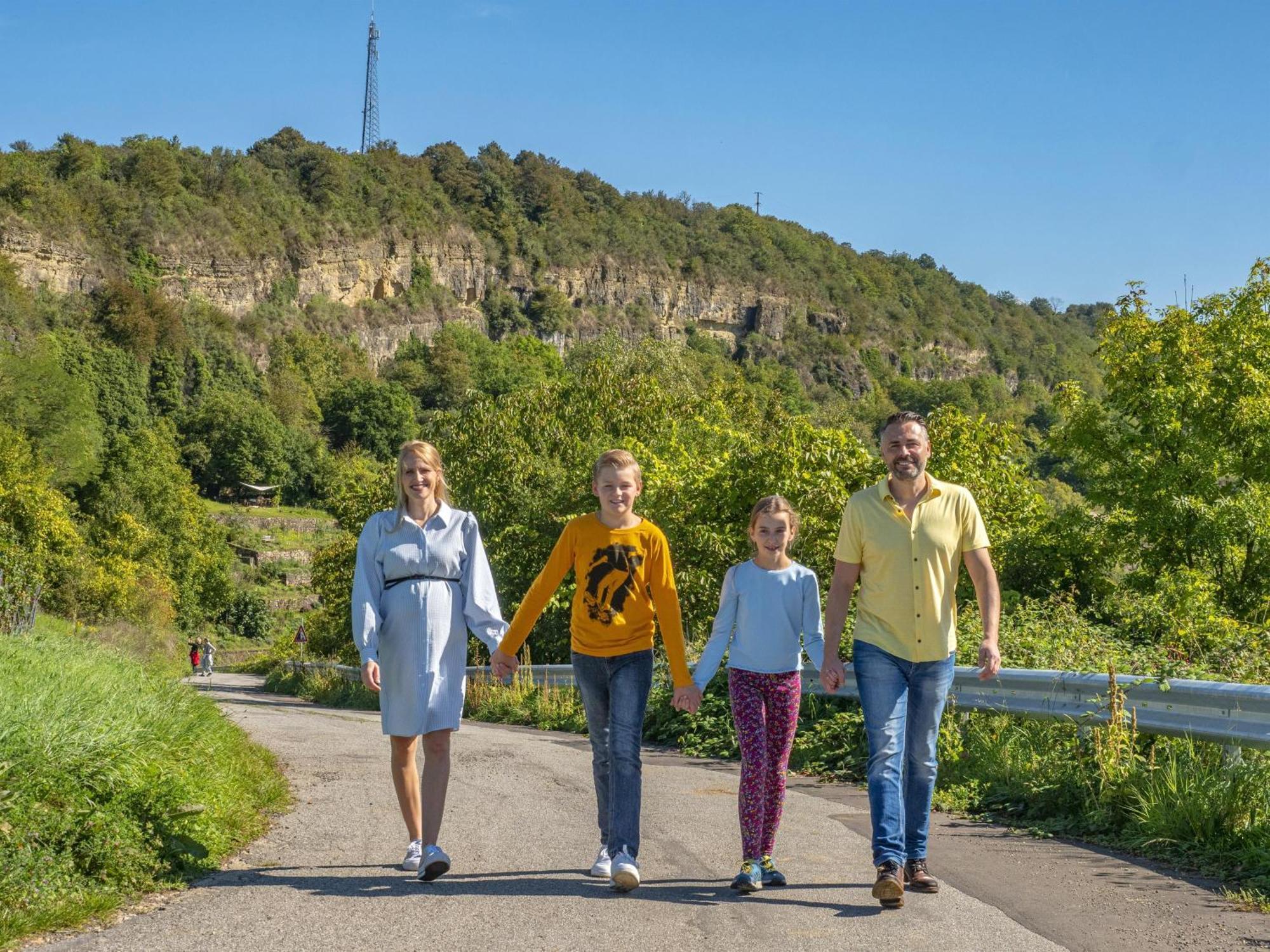 Appartements Im Weingut Frieden-Berg Nittel Bagian luar foto